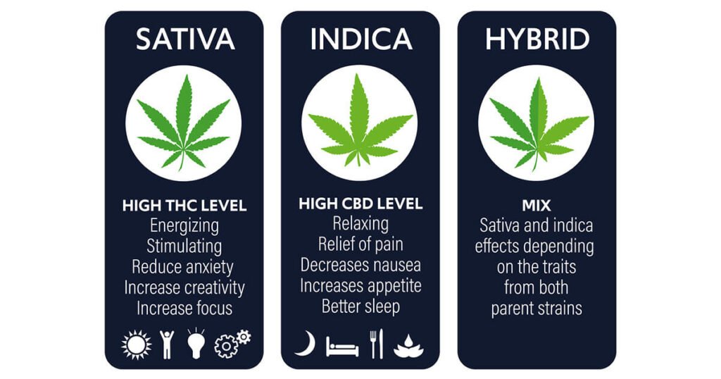 Best Marijuana Strains and Types for Anxiety
