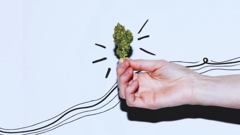 marijuana strains
