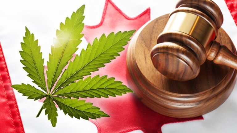 Marijuana legalization