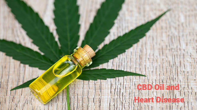 CBD Oil  and Heart Disease: A Promising Combination
