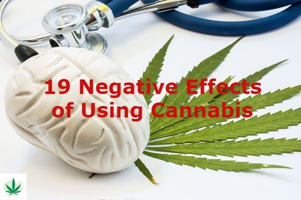 19 Negative Effects of Using Cannabis
