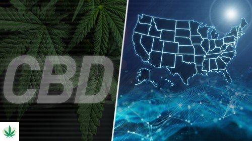 CBD and The Future of The World