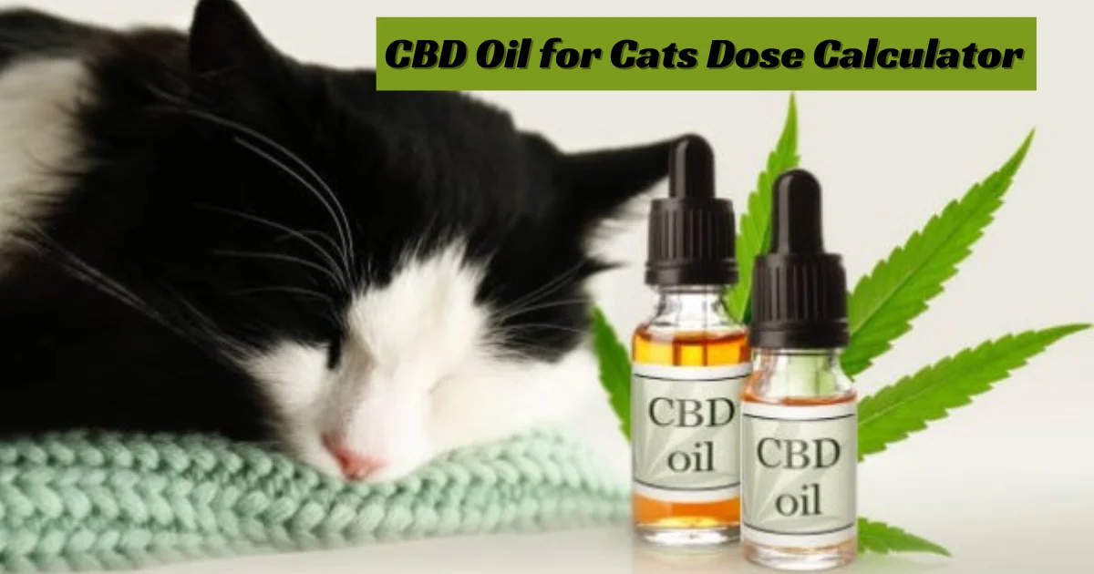 CBD Oil for Cats Dose Calculator