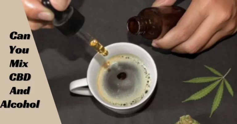 Can You Mix CBD And Alcohol