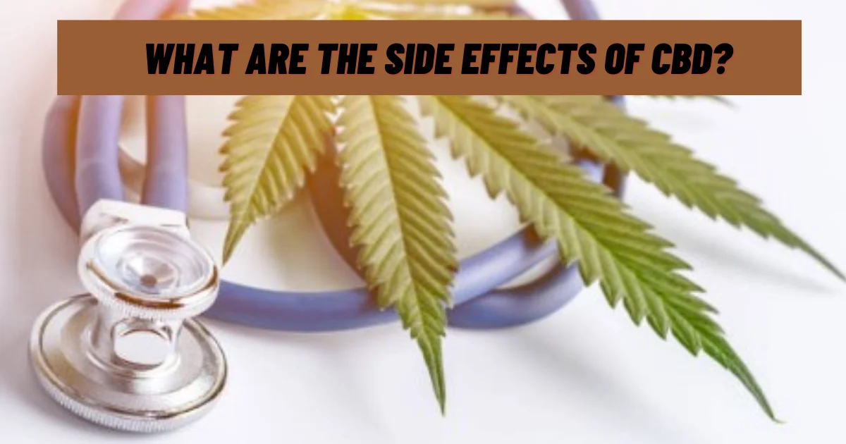 What Are The Side Effects Of CBD