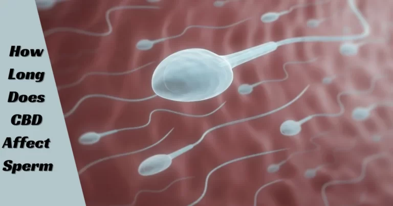 How Long Does CBD affect sperm