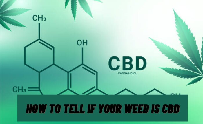 How to Tell if Your Weed is CBD