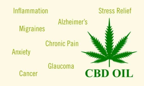 How to Tell if Your Weed is CBD