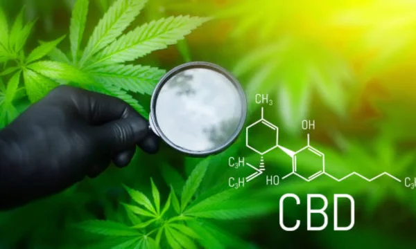 Is CBD a Blood Thinner
