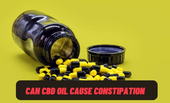 Can CBD Oil Cause Constipation? The Effects of CBD On Digestive Health
