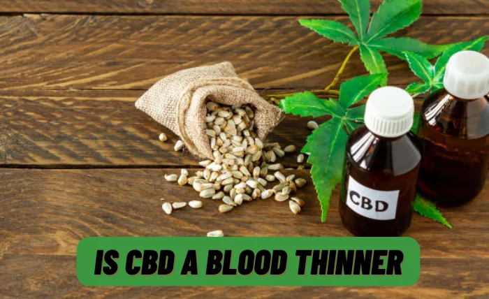 Is CBD Oil A Blood Thinner? Investigating the Evidence